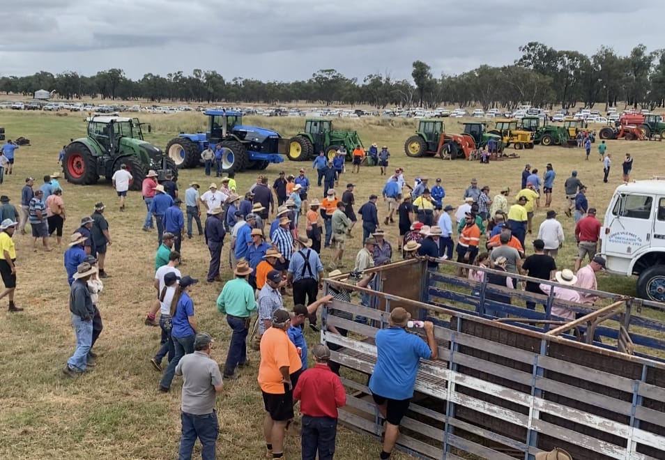 farm clearing sales warwick qld
